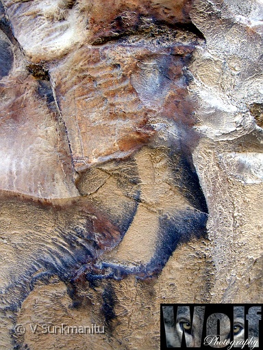 04 Beauty within stone Copyright Villayat Sunkmanitu.jpg